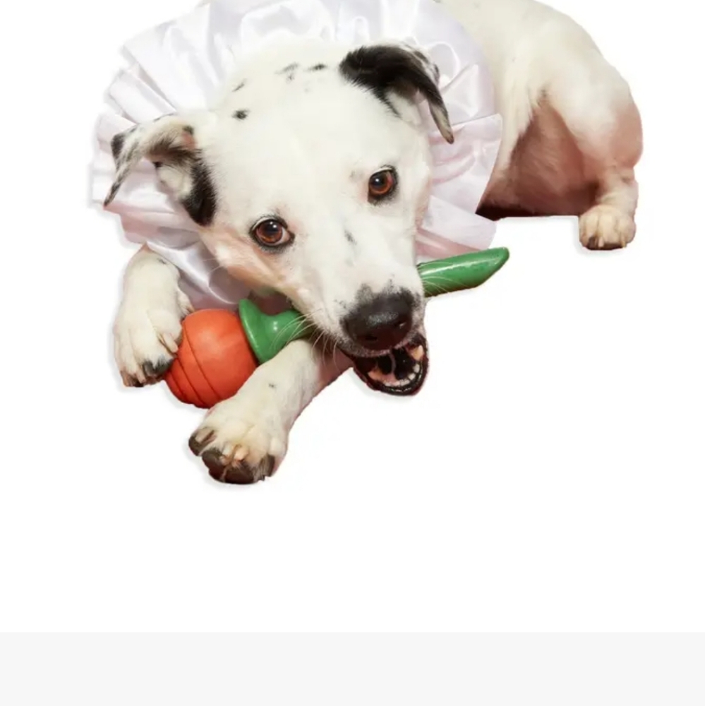Dog Toy - Picture 3 of 4
